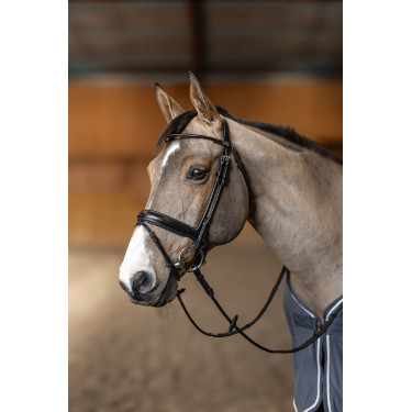 **Ronde hoofdstel HFI Master**