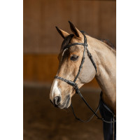 Bitloos hoofdstel Freedom HFI Master Zwart Bitloos hoofdstel Freedom HFI Master Zwart