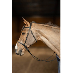 Bridon sans mors Freedom HFI Master Noir