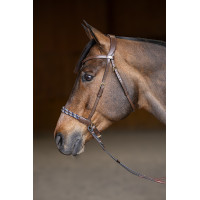 Bitloos hoofdstel Freedom HFI Master Bruin