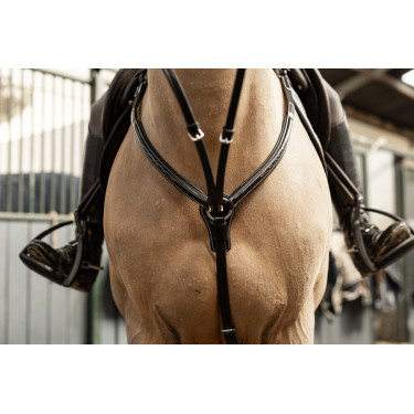 Jachtmartingaal Arezzo HFI Master Pro Line