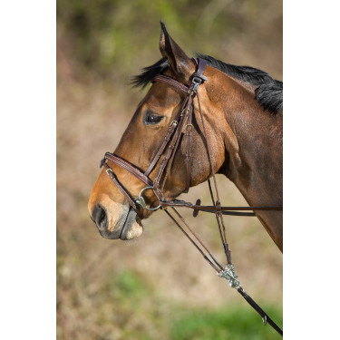 HFI Master leren gogue Bruin