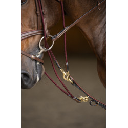 Gogue HFI Master Bruin