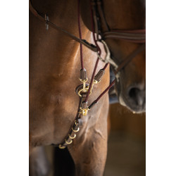 Gogue HFI Master Bruin