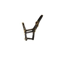 Licol cuir HFI Master Noir Licol cuir HFI Master Noir