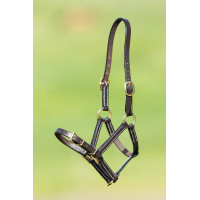 Licol cuir HFI Master Marron