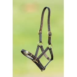 Licol cuir HFI Master Marron