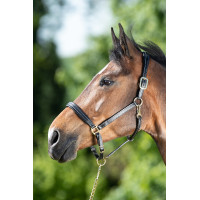 Leren halster HFI Master crèmekleurige stiksels Zwart