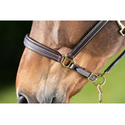 Licol cuir HFI Master coutures crème Marron