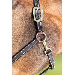 Licol cuir HFI Master coutures crème Marron