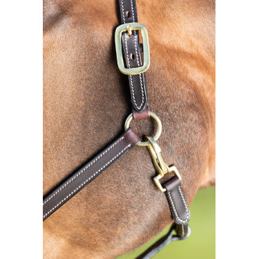 Licol cuir HFI Master coutures crème Marron