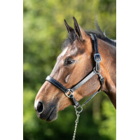 Licol cuir HFI Master cuir double réglage Noir Licol cuir HFI Master cuir double réglage Noir