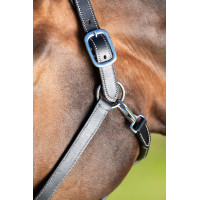 Licol cuir HFI Master cuir double réglage Noir Licol cuir HFI Master cuir double réglage Noir