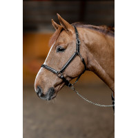 Lederen halster Little Groom HFI Master Zwart Lederen halster Little Groom HFI Master Zwart