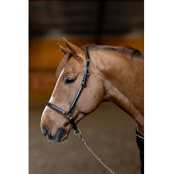Lederen halster Little Groom HFI Master Lederen halster Little Groom HFI Master