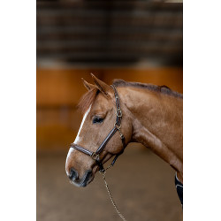 Lederen halster Little Groom HFI Master Bruin