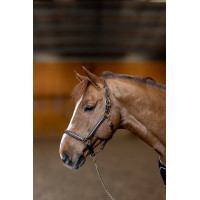 Licol cuir Little Groom HFI Master Marron