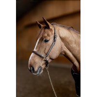 Lederen halster Little Groom HFI Master Bruin
