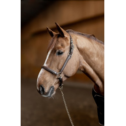 Lederen halster Little Groom HFI Master Bruin