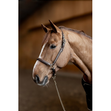 Lederen halster Little Groom HFI Master Bruin