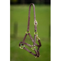 Lederen halster HFI Master Bruin