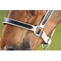 Licol First nylon HFI Master Beige Licol First nylon HFI Master Beige