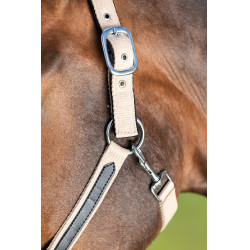 Licol First nylon HFI Master Beige Licol First nylon HFI Master Beige