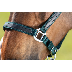 Licol First nylon HFI Master Vert foncé