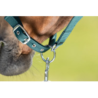 Licol First nylon HFI Master Vert foncé Licol First nylon HFI Master Vert foncé