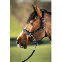 Licol First nylon HFI Master Marine Bleu marine