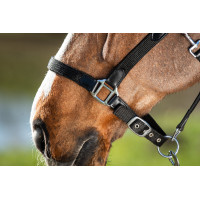 Neoprenhalfter Smart + Nylonführstrick HFI Master Zwart / zwart Neoprenhalfter Smart + Nylonführstrick HFI Master Zwart / zwart