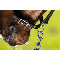 Neoprenhalfter Smart + Nylonführstrick HFI Master Zwart / zwart