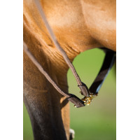 Duitse teugels leer + koord HFI Master Bruin Duitse teugels leer + koord HFI Master Bruin