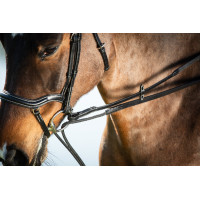 Rênes allemandes cuir + corde HFI Master Noir Rênes allemandes cuir + corde HFI Master Noir