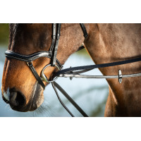 Rênes allemandes cuir HFI Master Noir Rênes allemandes cuir HFI Master Noir