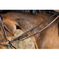 Duitse teugels leer HFI Master Zwart