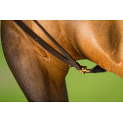 Duitse teugels leer HFI Master Bruin