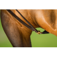 Rênes allemandes cuir HFI Master Marron