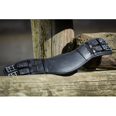 Sangle dressage HFI Master Sangle dressage HFI Master