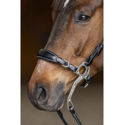 Set Neusriem Gourmette Hackamore HFI Master Set Neusriem Gourmette Hackamore HFI Master
