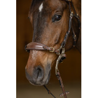 Set Neusriem Gourmette Hackamore HFI Master Bruin