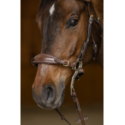 Set Neusriem Gourmette Hackamore HFI Master Bruin Set Neusriem Gourmette Hackamore HFI Master Bruin