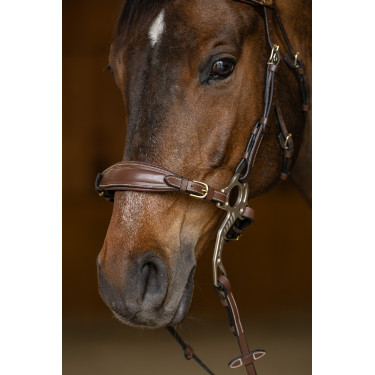 Set Neusriem Gourmette Hackamore HFI Master Bruin Set Neusriem Gourmette Hackamore HFI Master Bruin