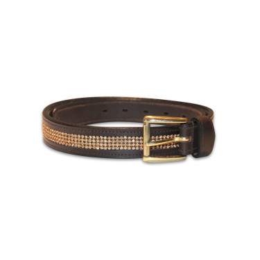 Leren riem HFI