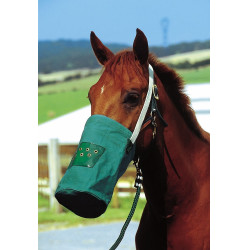 Musette canvas Musette canvas