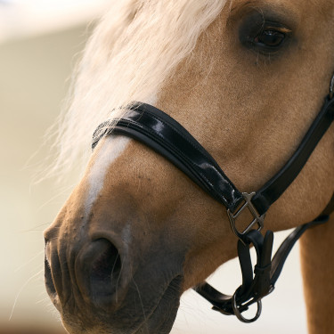 Halster Imperial Riding Hera Zwart