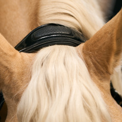 Licol Imperial Riding Hera Noir