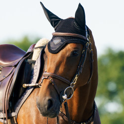 Vliegennetje Euro-Star Cato Zwart