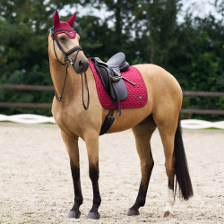 Tapis de selle Euro-Star Cato DR Amarena Rouge Tapis de selle Euro-Star Cato DR Amarena Rouge