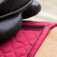 Zadeldek Euro-Star Cato GP Vlierbes Bruin